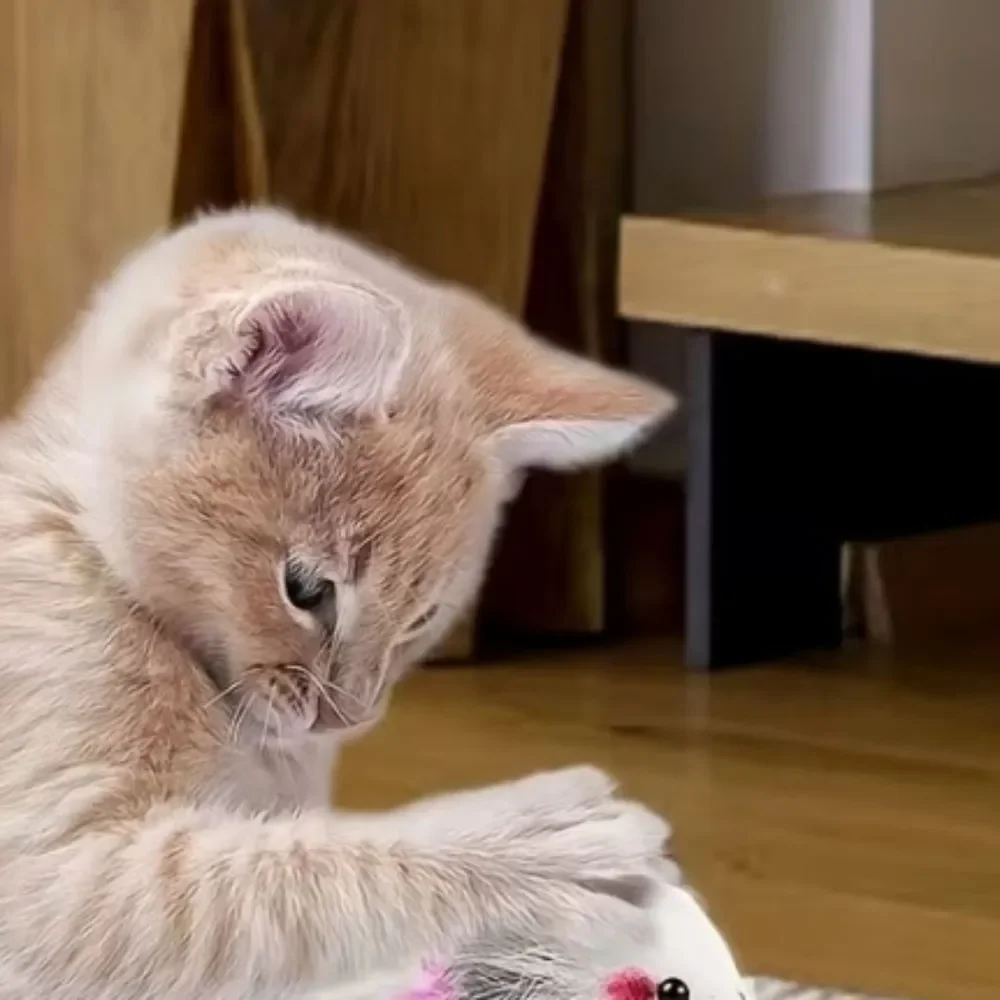 Interactive Furry Toy for Small Pets Pink Feather Toys Cat Kitty Colorful